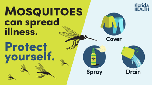 mosquitoes can spread illness protect yourself spray cover drain